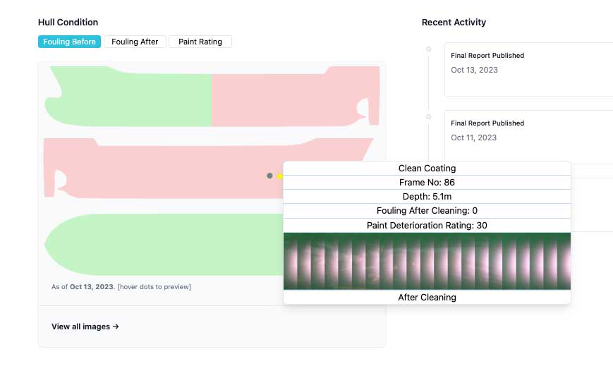 Example of hull inspection data provided by EverClean service shown in the EverClean IQ dashboard